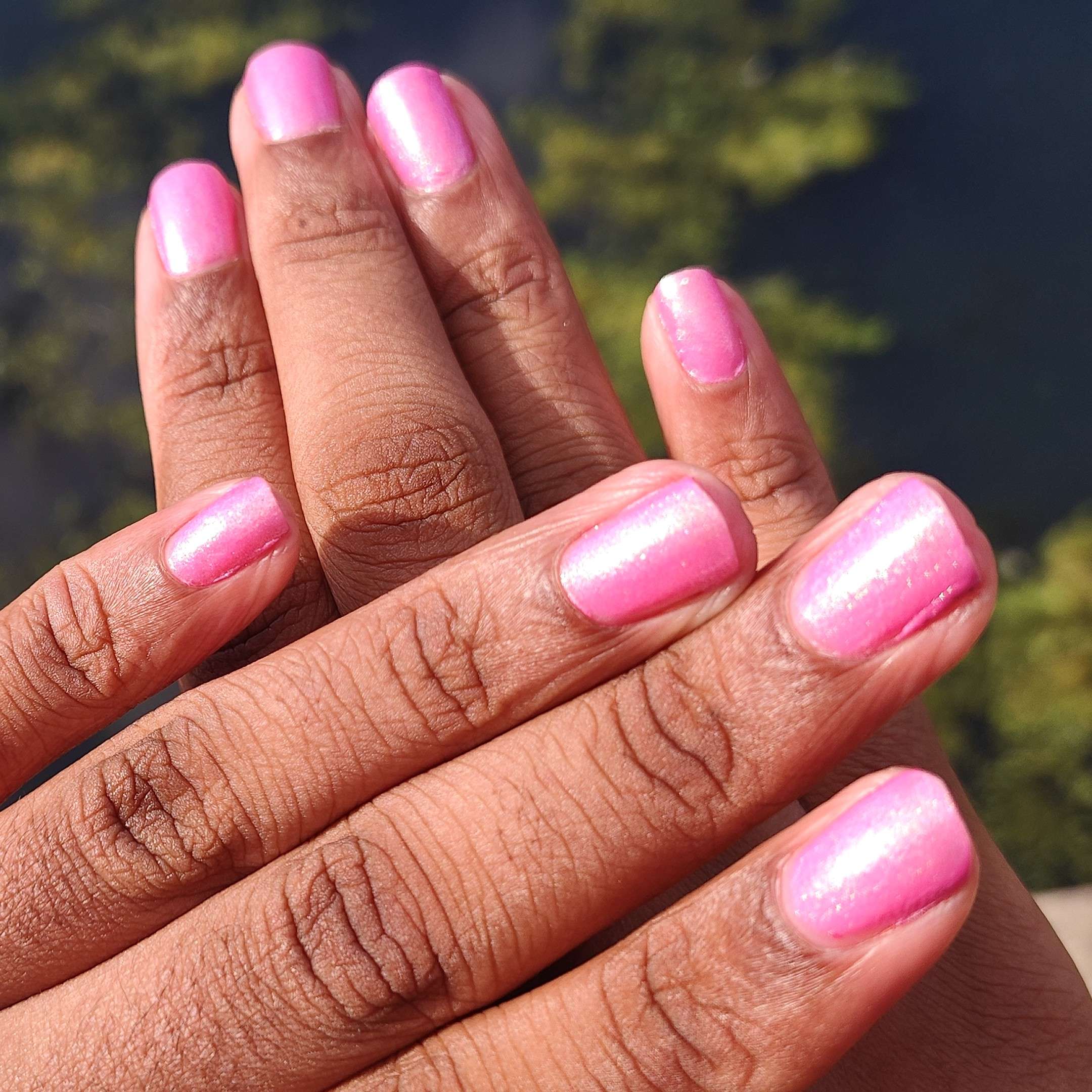 Pink Sunset