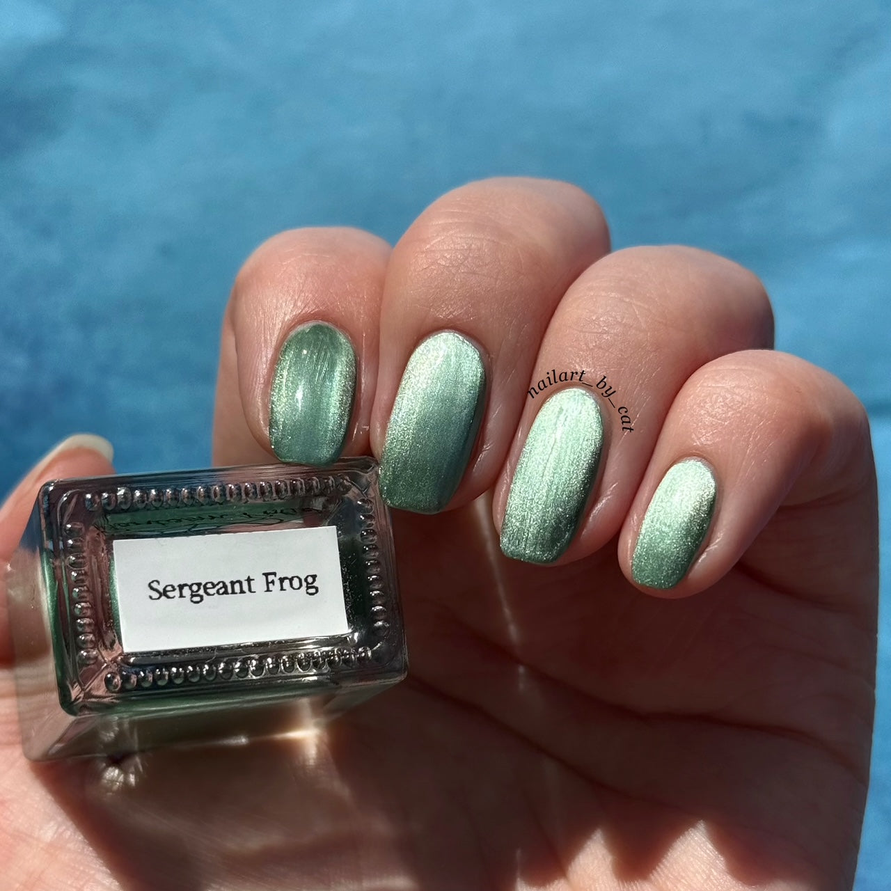 Sergeant Frog